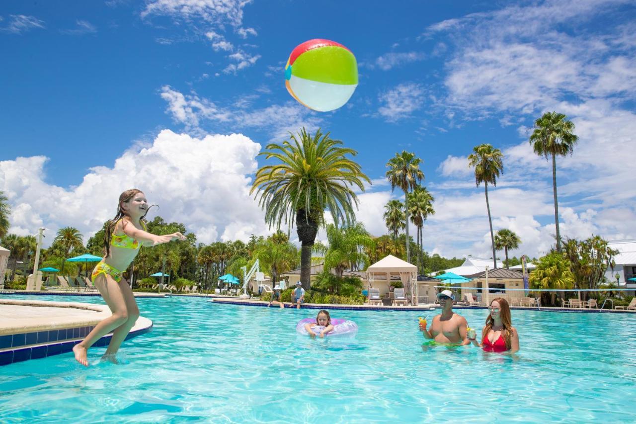 Saddlebrook Golf Resort & Spa Tampa North-ווסלי צ'אפל מראה חיצוני תמונה